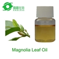 Magnolia Leaf Oil